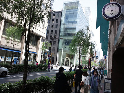 柳通りの街並み
